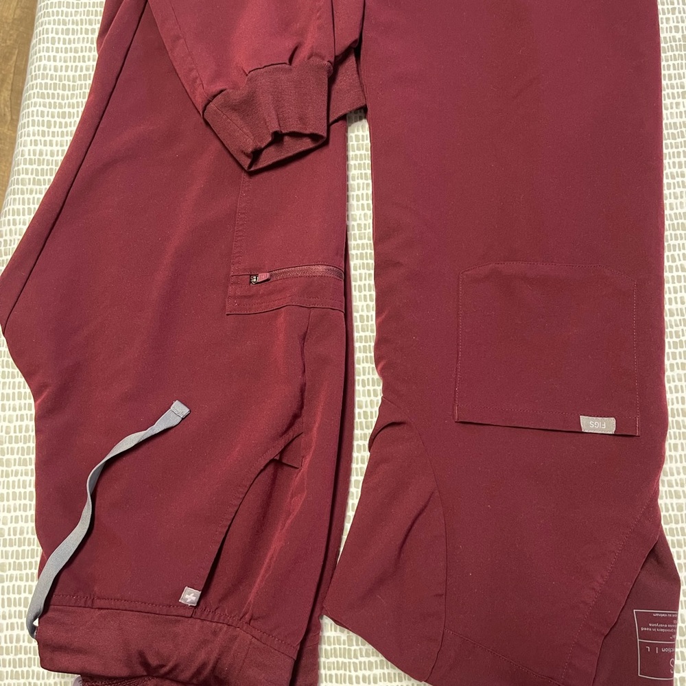 EUC figs zamora jogger and figs Casma. no rips, tears, stain.